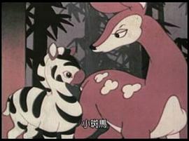 森林之王 圖7