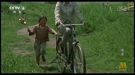 暖春 圖10