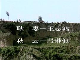 小鎮(zhèn)總理 圖5