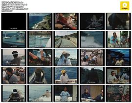 老人與海免費(fèi)觀看全集策 圖1