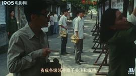 关于袁隆平的电影叫什么名字 图2
