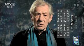 杜甫：中國最偉大的詩人 圖10