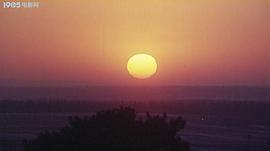 太陽有耳 圖7
