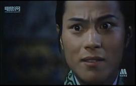 金鴛鴦 圖7