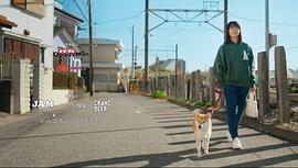 今日份的散步 圖3