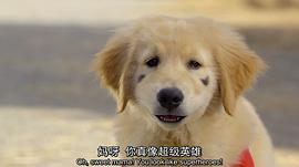 超級巴迪 圖5