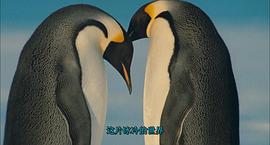 帝企鵝日記 圖1