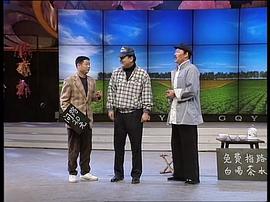 2007年中央电视台元宵晚会 图3