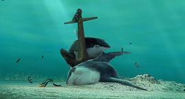 中国版鲨鱼电影 图3