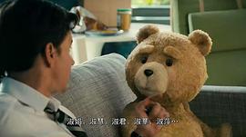 泰迪熊长什么样 图3