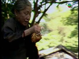 四海一家 圖4