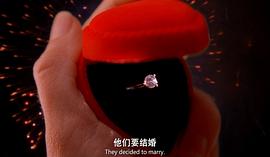 非常小特工1電影國(guó)語(yǔ)的 圖7