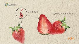水果记 图8
