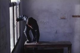 柳樹之歌 圖1