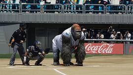 韩国大猩猩打棒球电影名字 图6