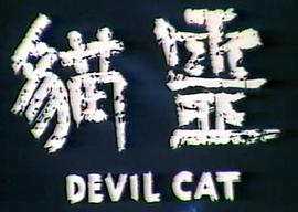 貓靈 圖2