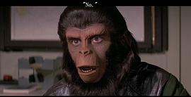 有黑猩猩的电影 图3