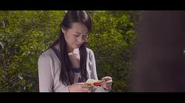 如果樹知道 圖9