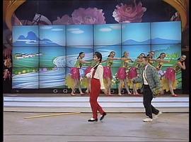 1996年中央电视台春节联欢晚会 图7
