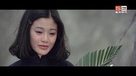 梅花 圖2