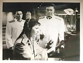 海鷹 圖10