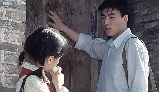 80年代中国农村电影