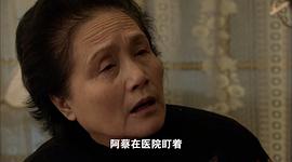 雙面膠電視劇40集 圖4