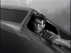 二战电影飞行堡垒免费观看 图1