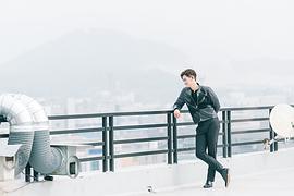 瘋狗 圖8