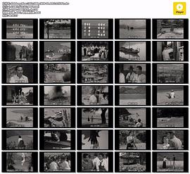 西沙兒女電影免費看 圖6
