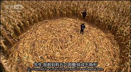 神探默多克 第一季 圖1