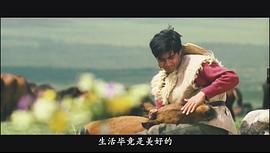 牧馬人 圖8