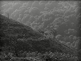 農(nóng)家婦 圖5