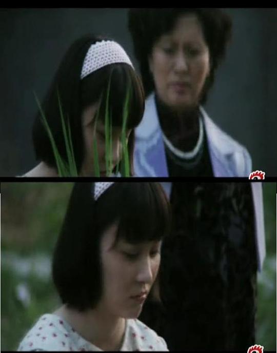 遠(yuǎn)去的飛鷹好看嗎