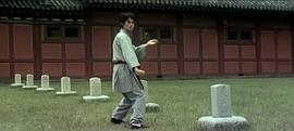 南拳北腿 圖7
