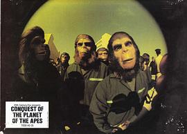 关于黑猩猩的电影 图4
