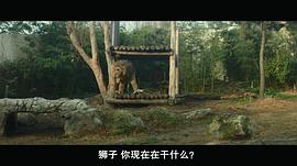 神秘动物园中文版免费 图5