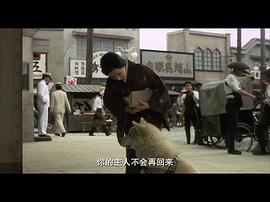 日本忠犬八公中文版 图5