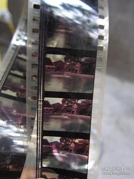 性病防治 圖5
