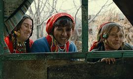 只愛陌生人 圖2