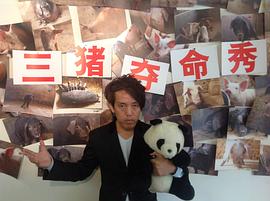 讓熊貓飛 圖6