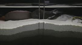 像烏鴉一樣思考 圖3
