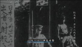 紅與黑-蘇日二戰(zhàn)交鋒錄 圖2