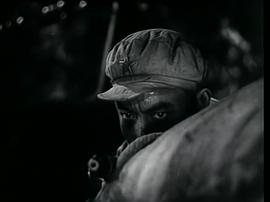 电影巜凤翔1949 图8