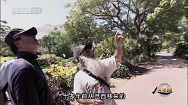 走近以色列 圖6