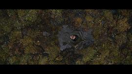 铁血战士3免费完整版电影 图2