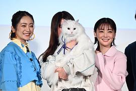 三日月與貓 圖5