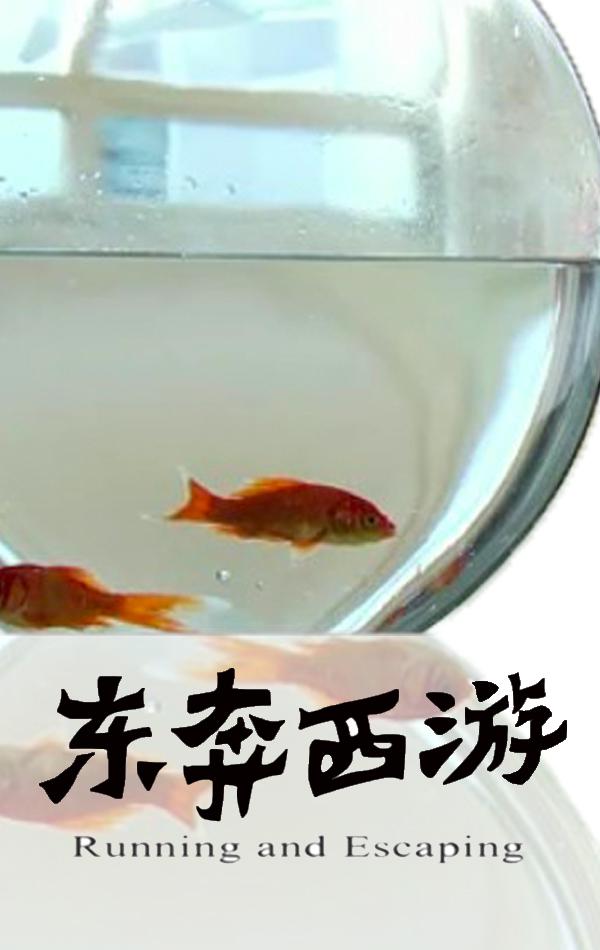 11度青春之《東奔西游》