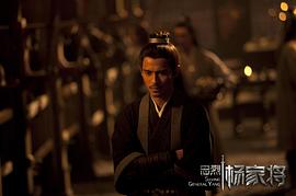 忠烈楊家將 圖9