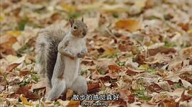 難以伺候 第一季 圖4